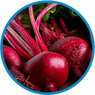 Beet Root